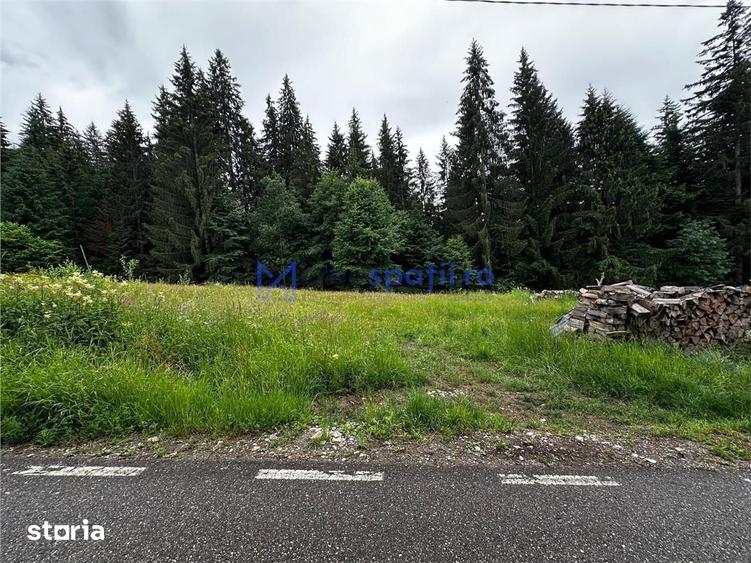 Teren de 1048 mp, în Ceahlău