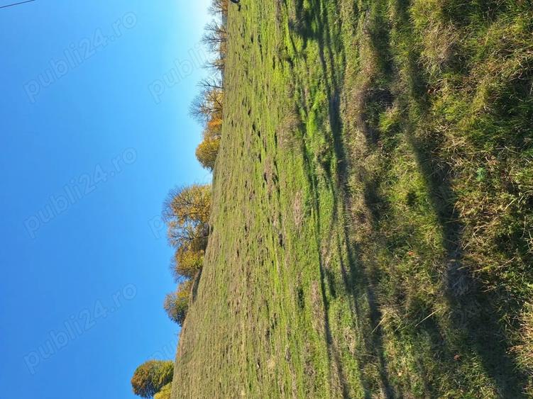 Teren de 5000 mp, în Central