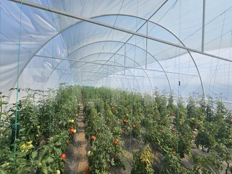 Teren agricol extravilan de 14068 mp, în Periferie
