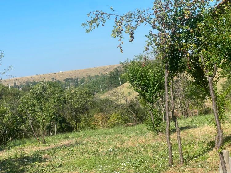 Teren Construcții intravilan de 1486 mp, în Valea Mare