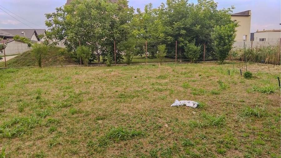 Spațiu comercial, în Berceni