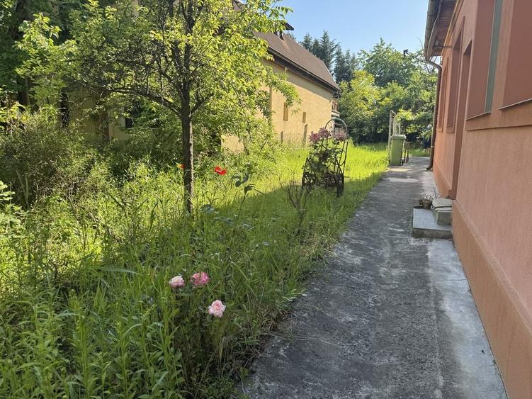 Casă cu 3 camere în Central