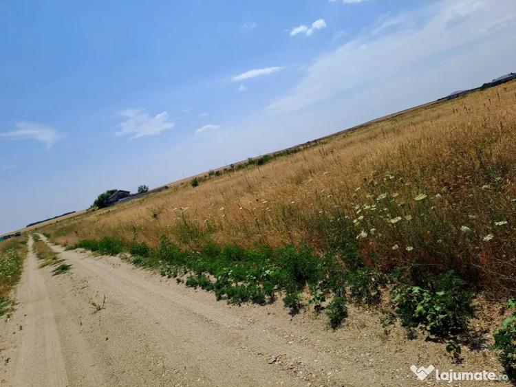 Teren în Cârcea
