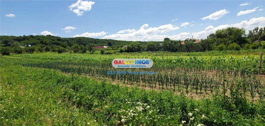 Teren Construcții intravilan de 12765 mp, în Bogați