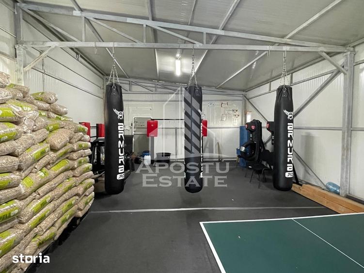 Casă cu 6 camere cu Teren 863 Mp în Cărpiniș