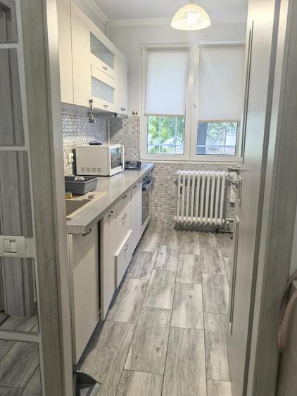 Apartament cu 2 camere semidecomandat în Ozana