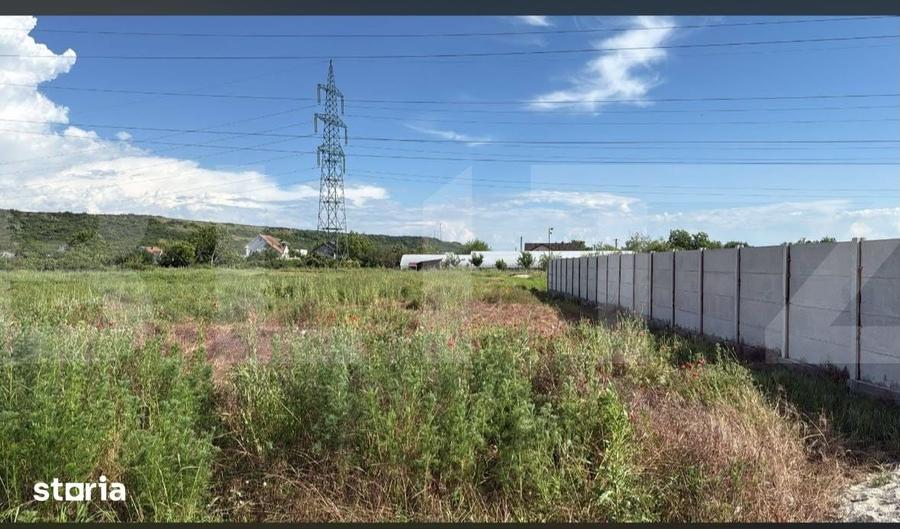 Teren de 4750 mp, în Curtișoara
