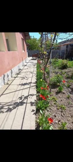 Casă cu 3 camere în Central