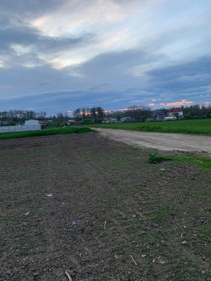 Teren Construcții intravilan de 1562 mp, în Afumați