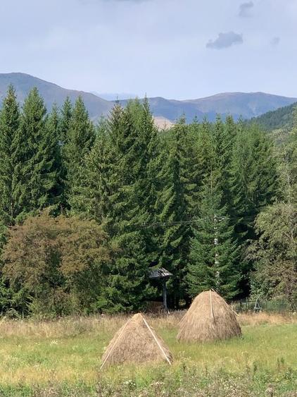 Casă cu 4 camere în Trăisteni