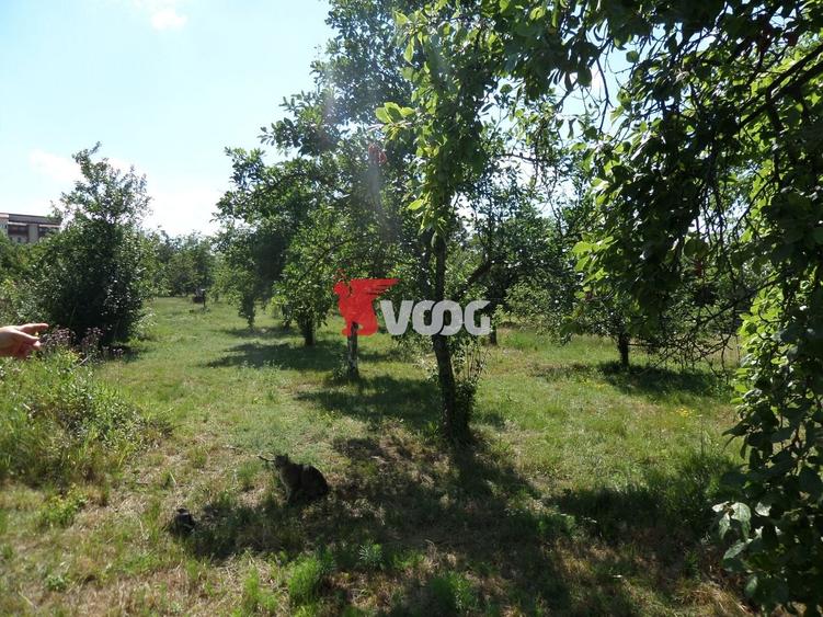 Teren Construcții intravilan de 2810 mp, în Fratelia