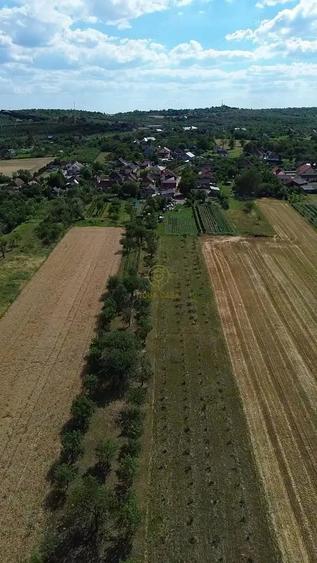 Casă cu 4 camere cu Teren 4839 Mp în Viile Satu Mare