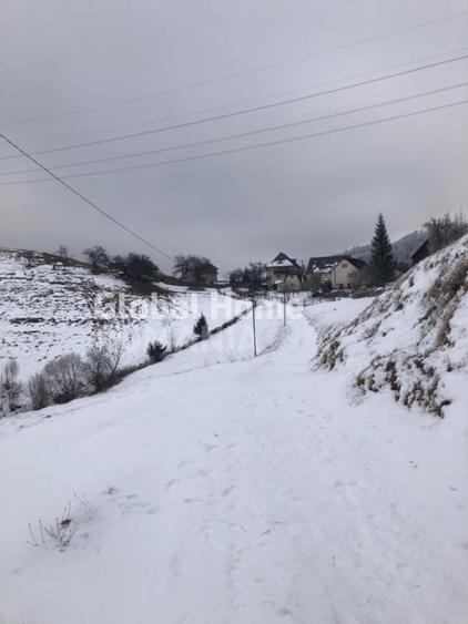 Teren Construcții intravilan de 725 mp, în Moieciu de Jos