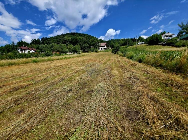 Teren Construcții intravilan de 600 mp, în Viișoara