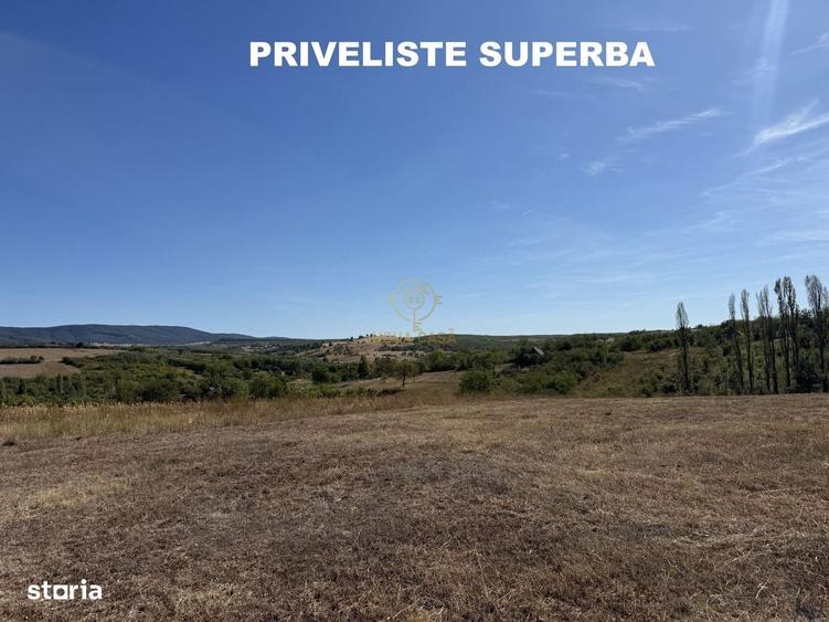 Spațiu comercial, în Sărătura