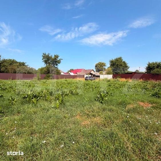 Teren de 3600 mp, în Central
