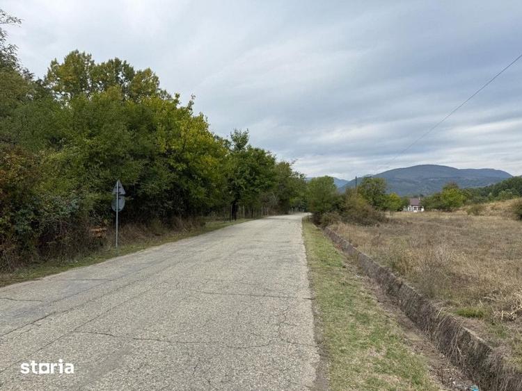 Teren de 13000 mp, în Runcu