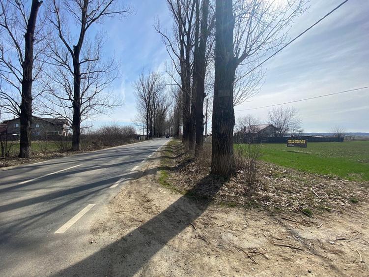 Teren Construcții intravilan de 5000 mp, în Snagov