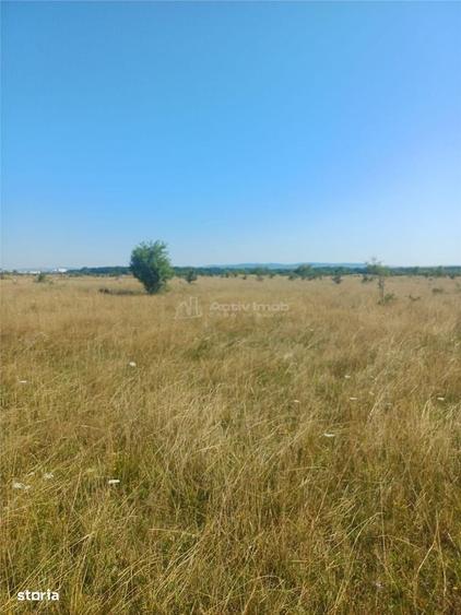 Teren intravilan de vanzare zona Magura Cisnadie - 8