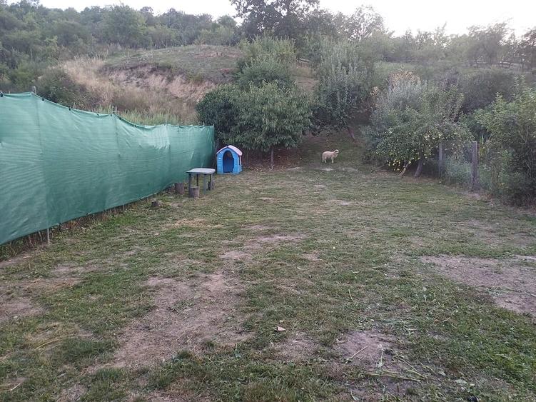 Teren de 801 mp, în Pianu