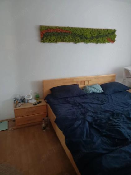Apartament cu 2 camere nedecomandat în Micălaca