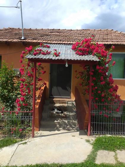 Casă cu 3 camere cu Teren 4000 Mp în Dejești