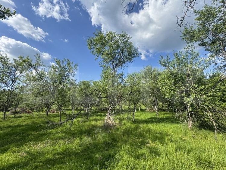 Teren Construcții intravilan de 15080 mp, în Periferie
