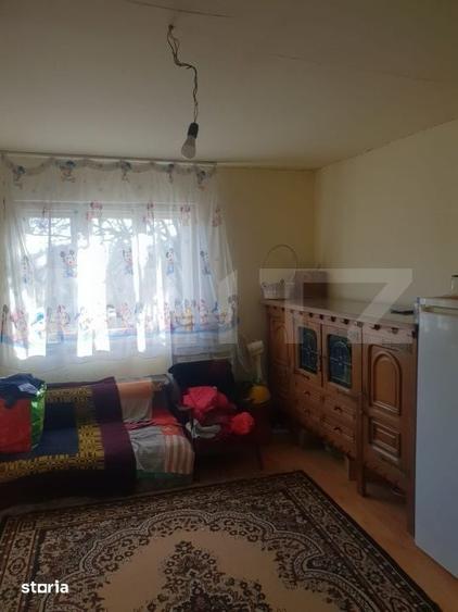 Casă cu 3 camere cu Teren 9600 Mp în Sânmihaiu de Câmpie