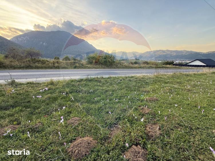 Teren de 646 mp, în Tohănița