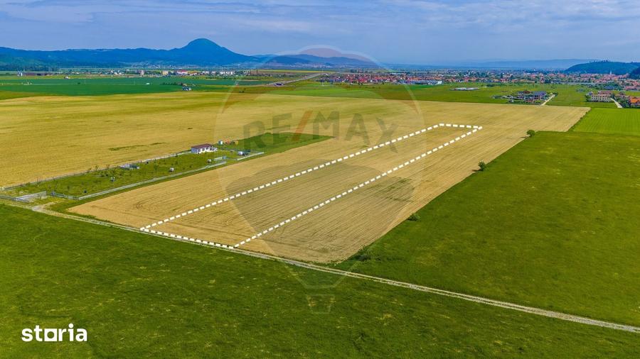 Teren de 12300 mp, în Central