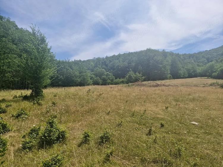 Casă cu Teren 1800 Mp în Anini