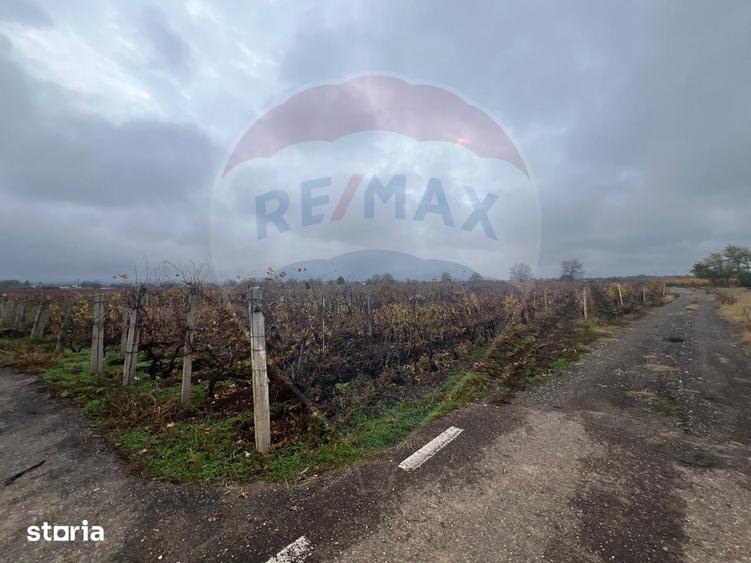 Teren de 915 mp, în Cârligele