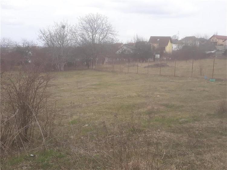 Teren de 1102 mp, în Bucium