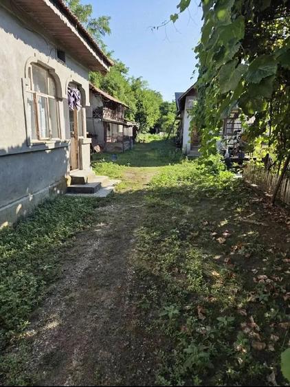 Casă cu Teren 1800 Mp în Puțu cu Salcie