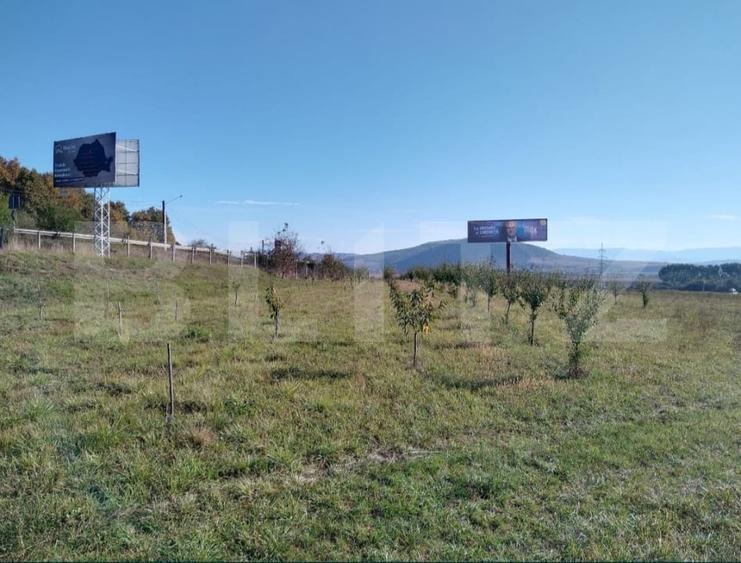 Teren Construcții intravilan de 12300 mp, în Viișoara