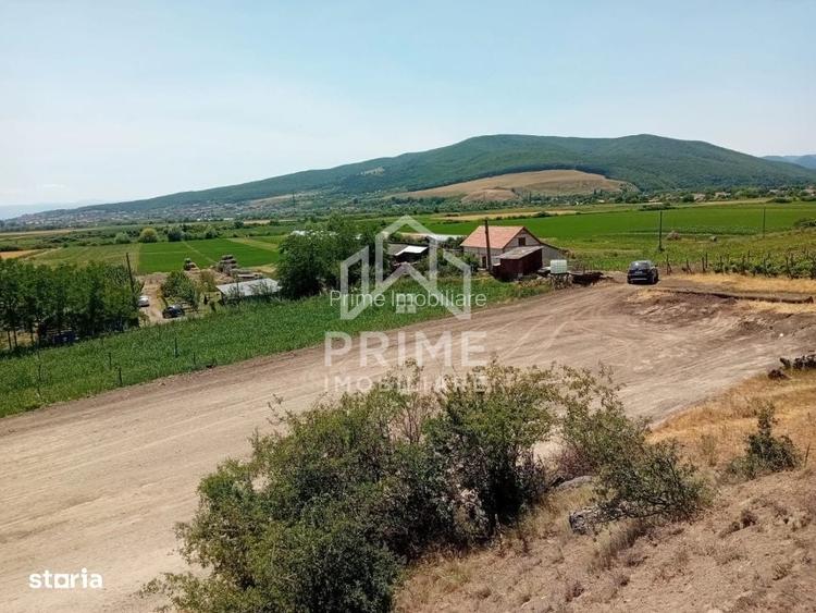 Teren 2900 mp, parcelabil, APA - CURENT - CANALIZARE