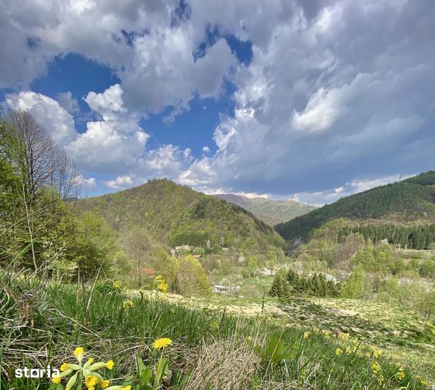 Teren de 4360 mp, în Valea Doftanei