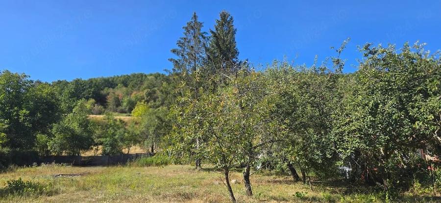 Casă cu Teren 2300 Mp în Buzad