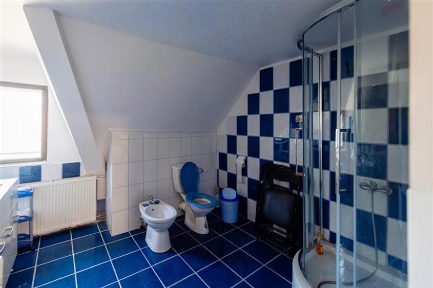 Hotel/Pensiune, de 579.40002441406 mp, în Runcu