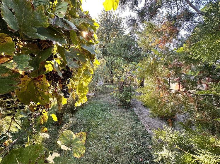 Casă individuală cu 3 camere cu Teren 862 Mp în Cocorăștii Colț