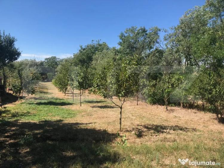 Casă cu 2 camere cu Teren 3700 Mp în Supur