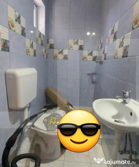 Casă cu 2 camere cu Teren 3100 Mp în Lisnău