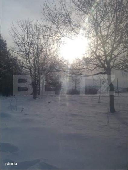 Spațiu comercial, în Cib
