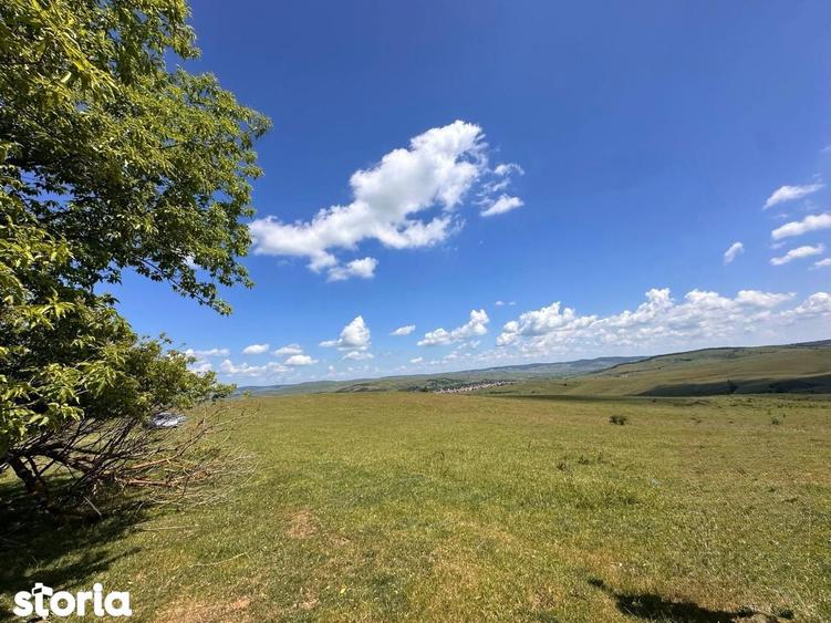 Teren de 54500 mp, în Jibert