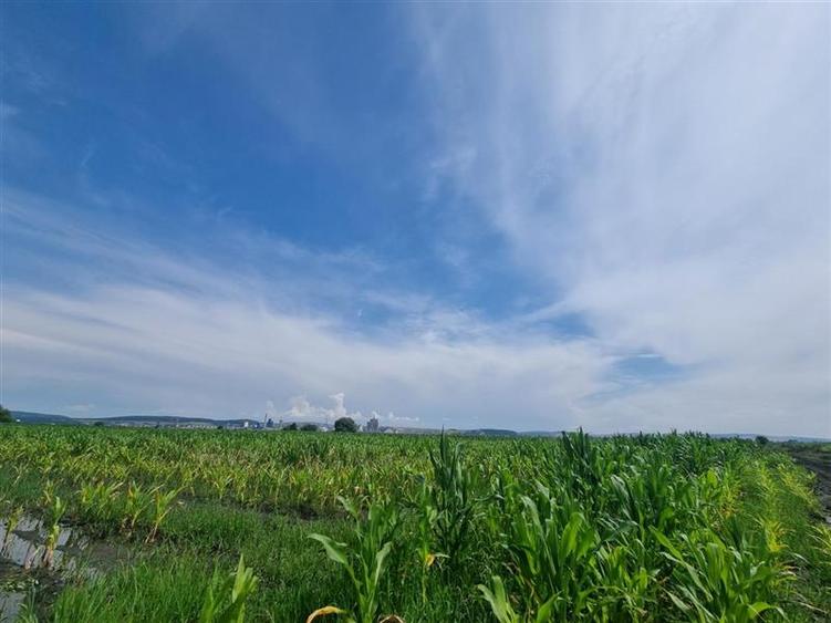 Teren intravilan de 510 mp, în Nazna