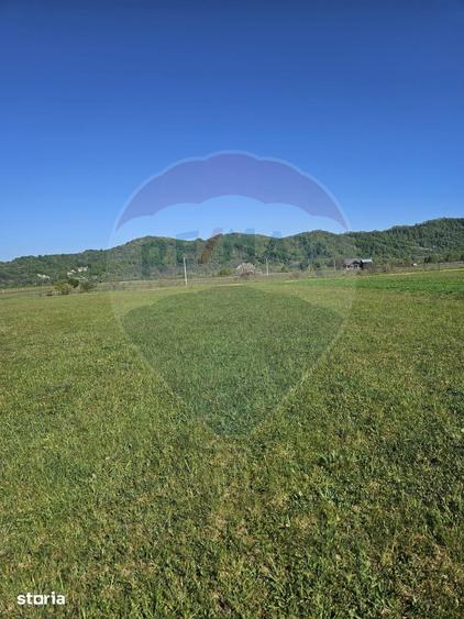 Teren de 1780 mp, în Bocicoiu Mare