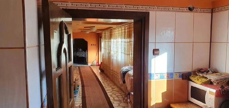 Casă cu Teren 6000 Mp în Bâlta