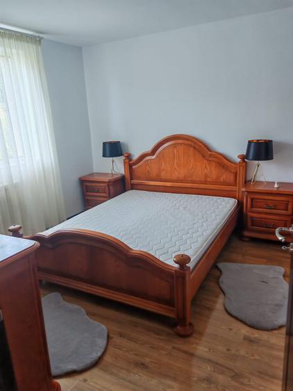 Casă individuală cu 5 camere cu Canalizare în Europa