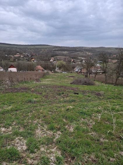 Teren de 1740 mp, în Feldioara