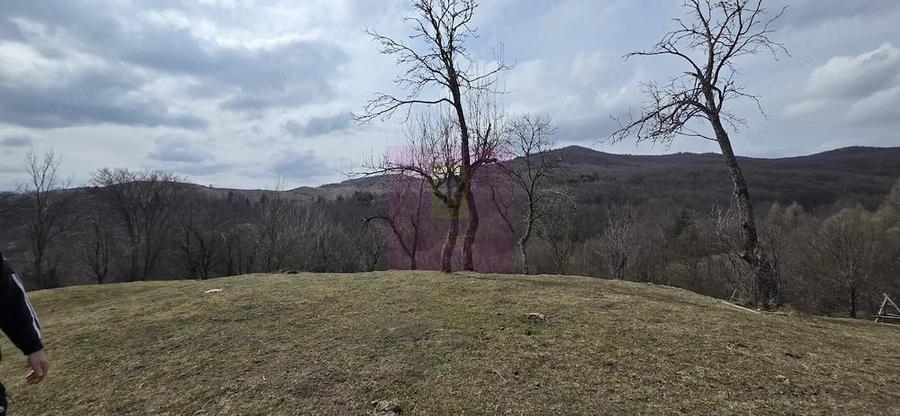Teren de 2220 mp, în Valea Doftanei